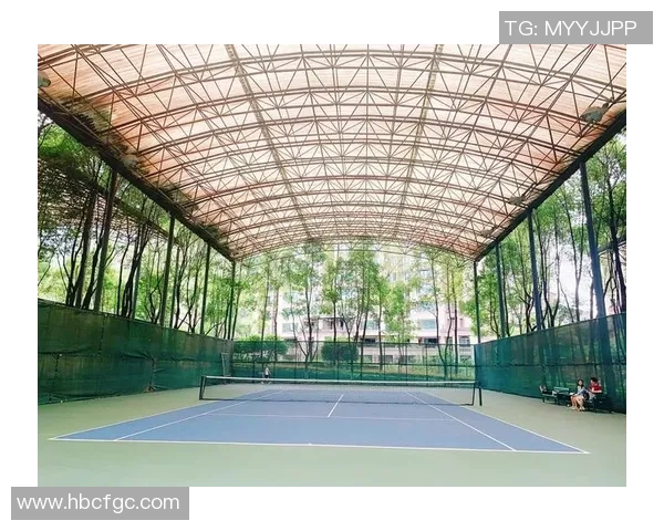 重庆网球队近期表现分析与未来发展方向探讨 重庆网球队近期表现分析与未来发展方向探讨