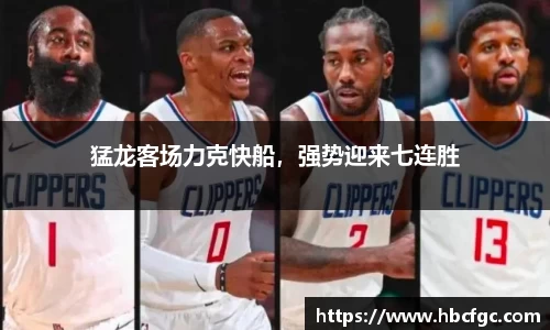 NG体育官网