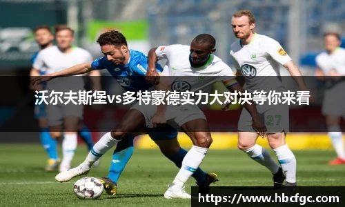 NG体育