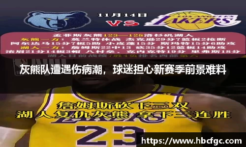 NG体育官网