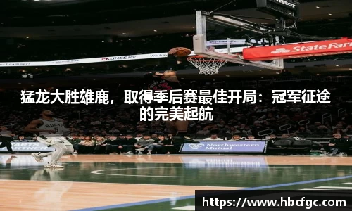 NG体育官方网站