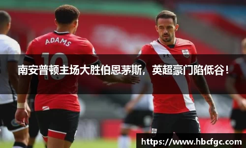 NG体育官网