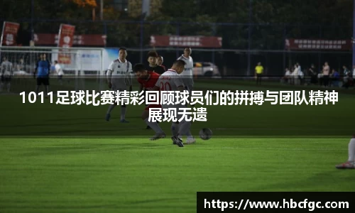 NG体育官网