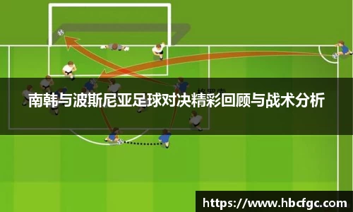 南韩与波斯尼亚足球对决精彩回顾与战术分析