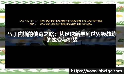 NG体育官网