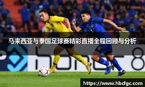 NG体育官网